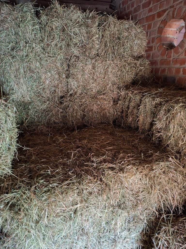 Hooi te koop, Zakelijke goederen, Landbouw | Veevoer, Ophalen