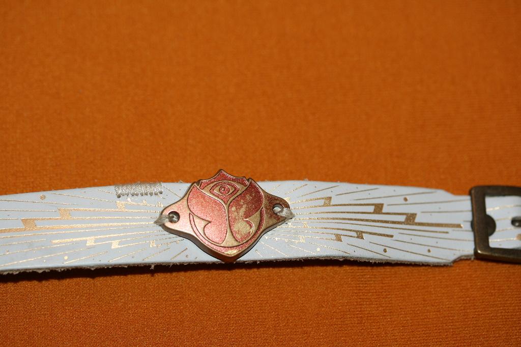 Tomorrowland bracelet 2022 W1 full madness, Ophalen of Verzenden, Zo goed als nieuw