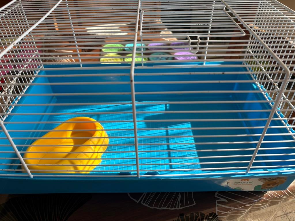 Cage pour hamster ou pour souris, Animaux & Accessoires, Enlèvement, Utilisé, Cage, Hamster