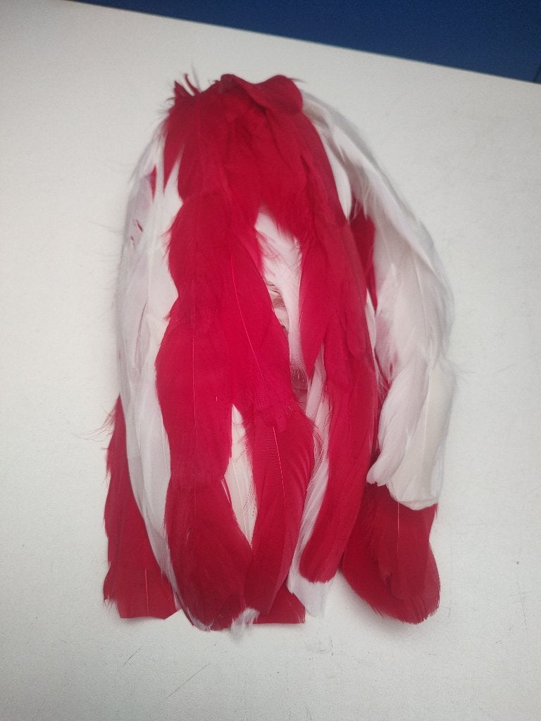 Pluim shako KMS - rood/wit - nieuw staat, Verzamelen, Militaria | Algemeen, Verzenden