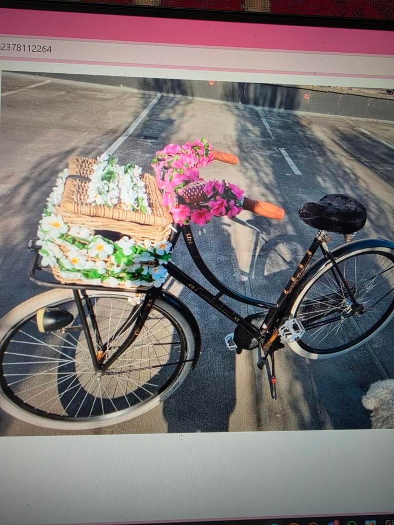Hollandse damensfiets, Gebruikt, Overage merken, Handrem, Ophalen
