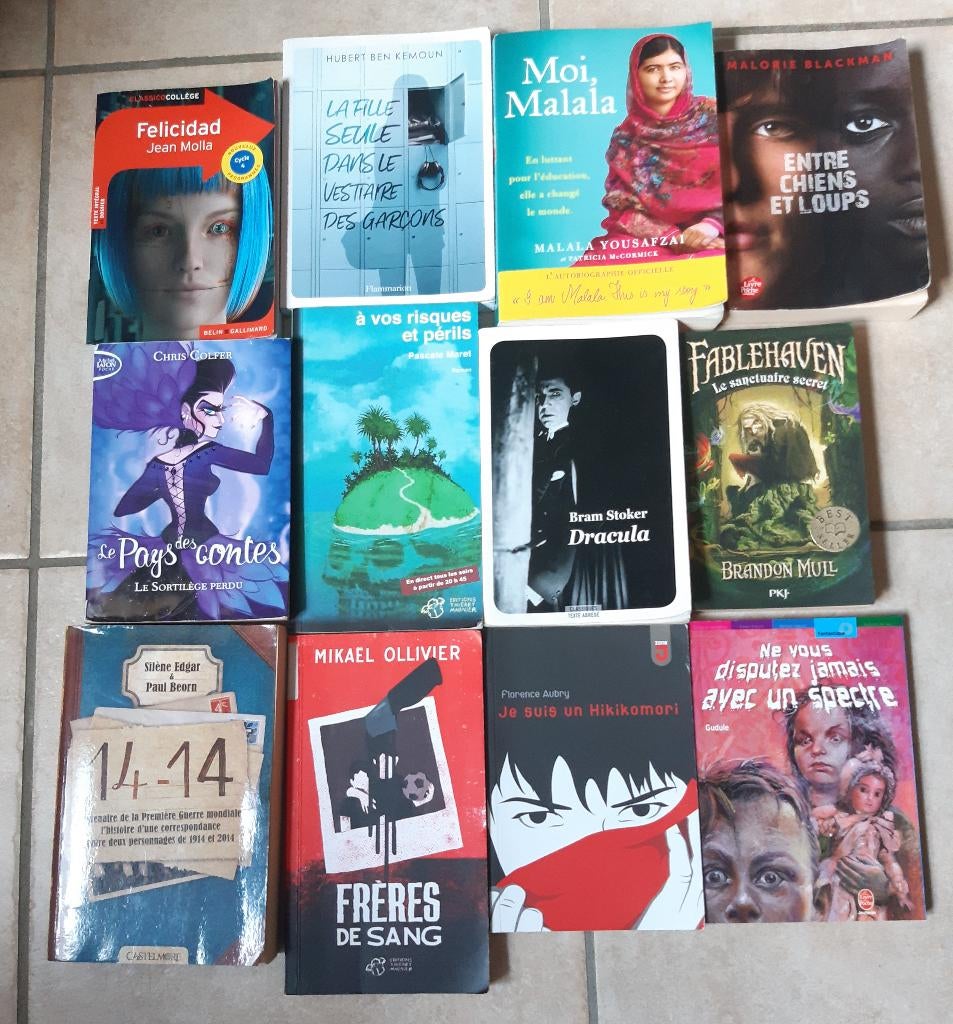 livres, romans, Boeken, Romans, Zo goed als nieuw, Ophalen