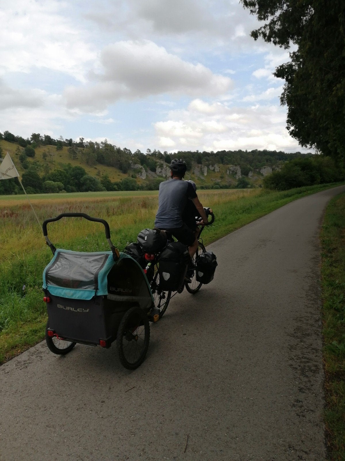 Burley fietsenkar d'lite x / wandelwagen 2 p., Dieren en Toebehoren, Ophalen