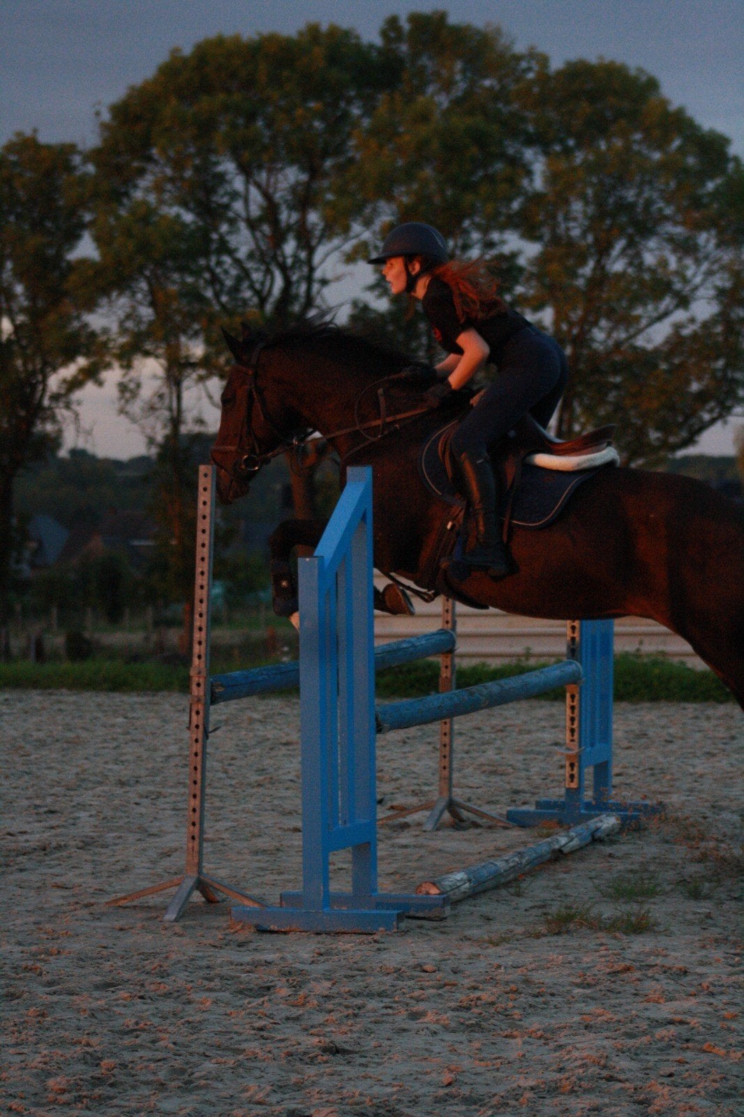 super lieve spring merrie, 11 ans ou plus, Avec pedigree, Débourré, 165 à 170 cm