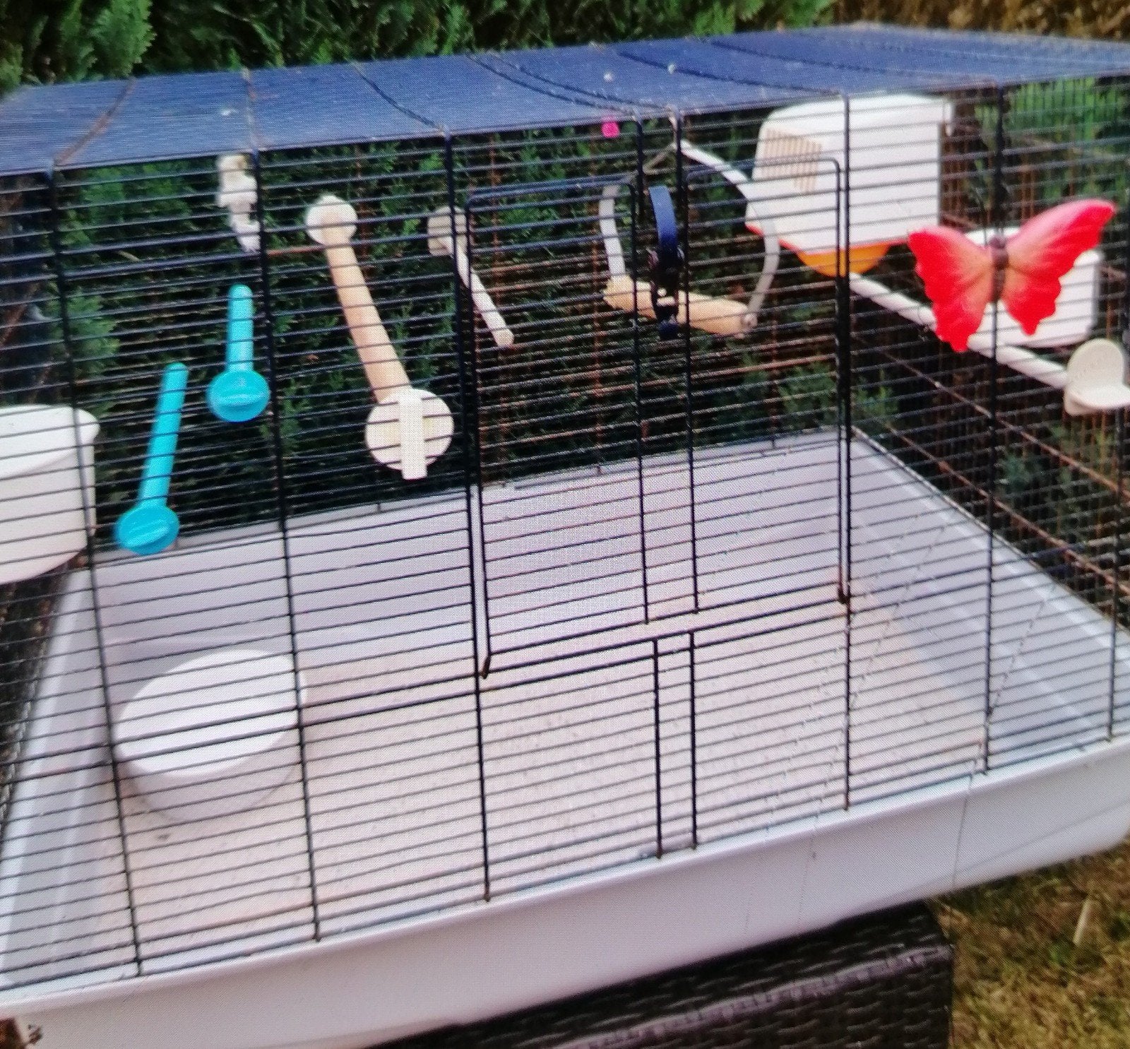 Vogel kooi, Dieren en Toebehoren, Ophalen, Kooi