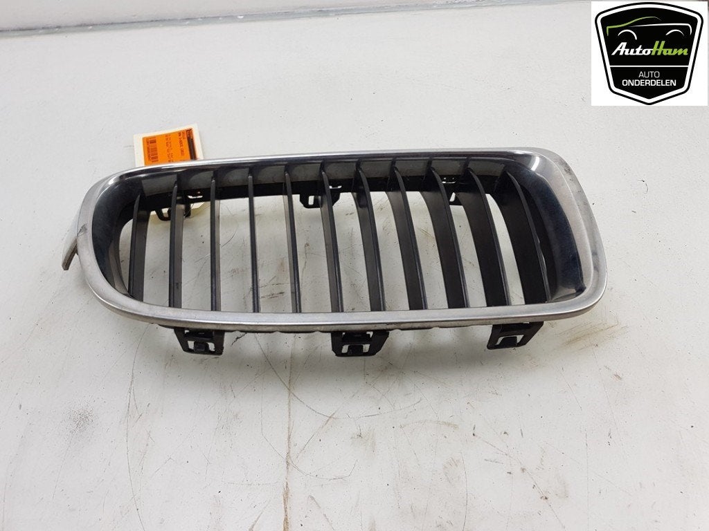 CALANDRE BMW 3 serie (F30) (|51137255412|19297610|), Autos : Pièces & Accessoires, Dhr. J. Ham, Administratie@autoham.nl, Utilisé