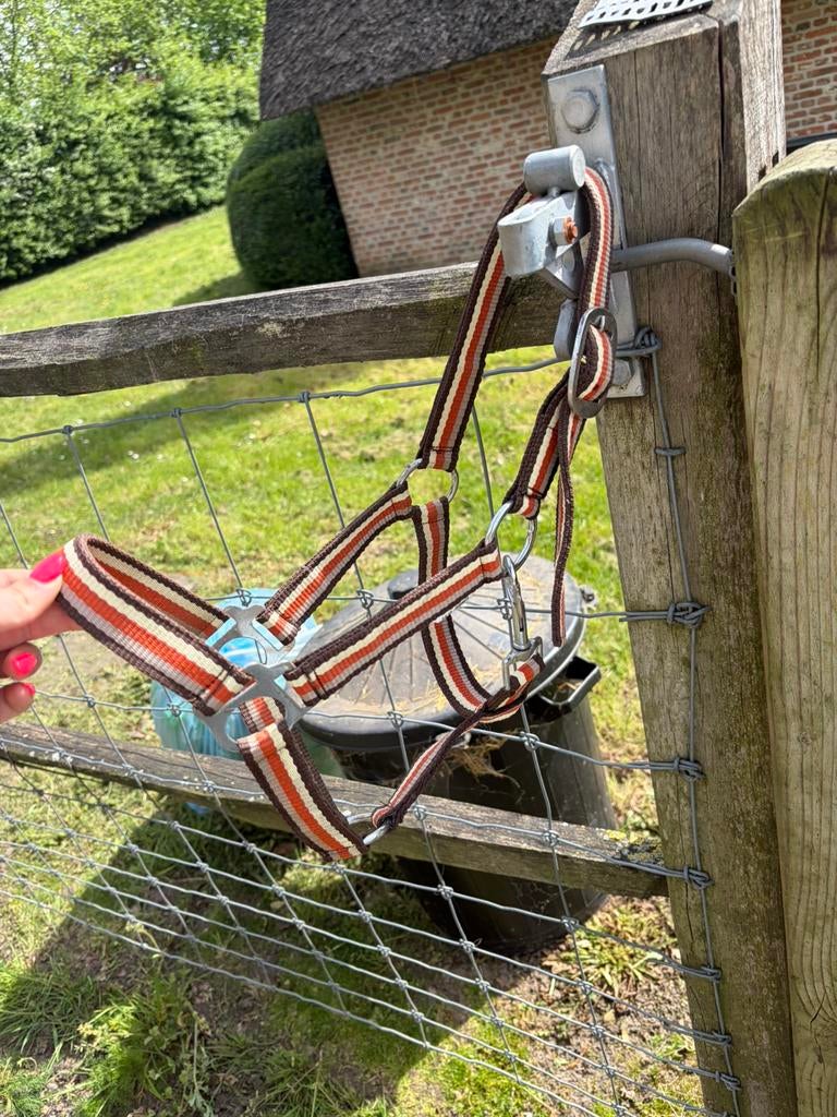 Shetlander halster, Ophalen, Nieuw, Overige soorten