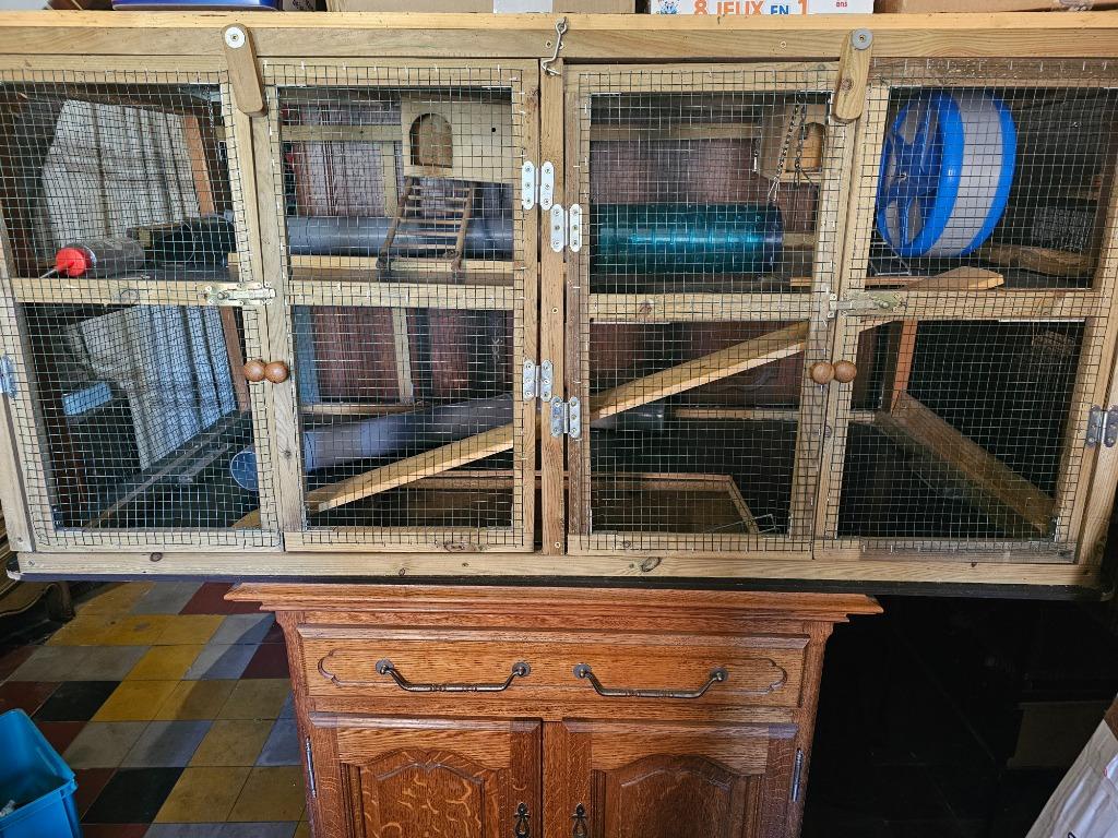 Cage pour rongeurs, Écureuil, Cage, Enlèvement, Utilisé