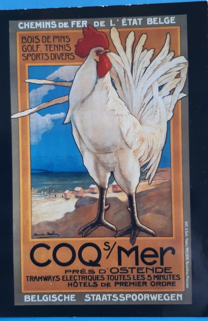 Carte postale COQ SUR MER, Enlèvement ou Envoi