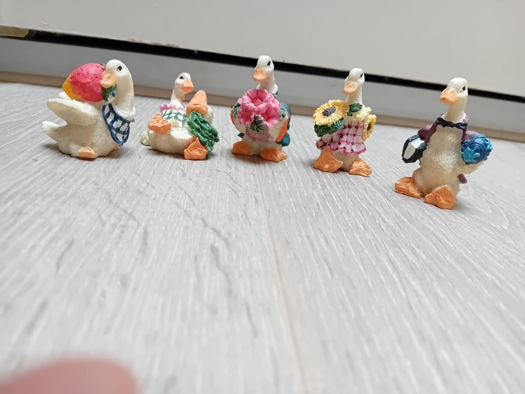 Verzameling van 5 eendjes, Huis en Inrichting, Ophalen of Verzenden, Zo goed als nieuw