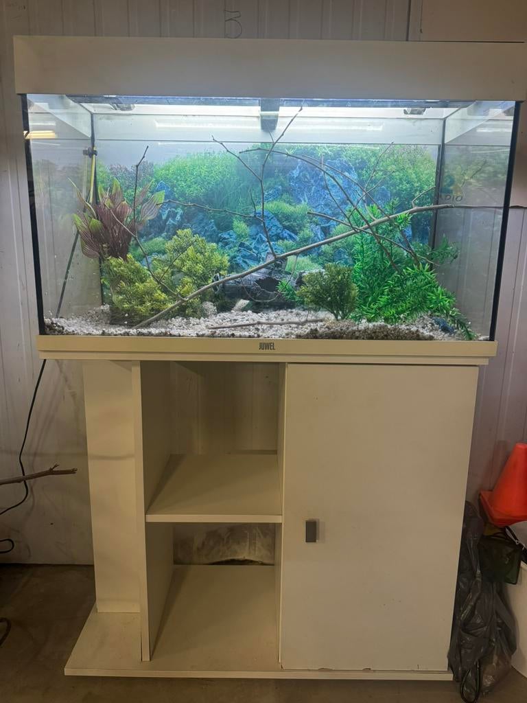 Juwel Rio 125 LED, Dieren en Toebehoren, Vissen | Aquaria en Toebehoren, Ophalen, Zo goed als nieuw