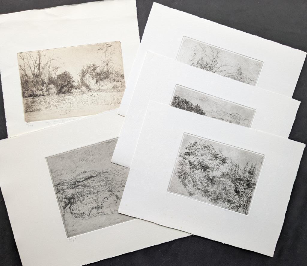 LOT van 5 etsen door André Roelant - Landschappen, Antiek en Kunst, Kunst | Etsen en Gravures, Ophalen of Verzenden
