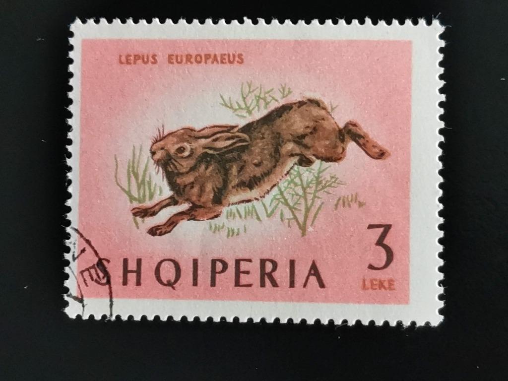 Albanie 1964 - wilde dieren - haas, Ophalen of Verzenden, Overige landen, Gestempeld