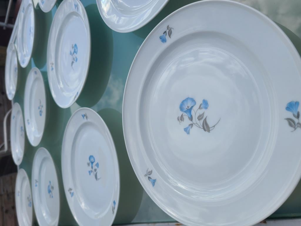 Porselein Rosenthal Speiseteller Serie Helena ., Ophalen