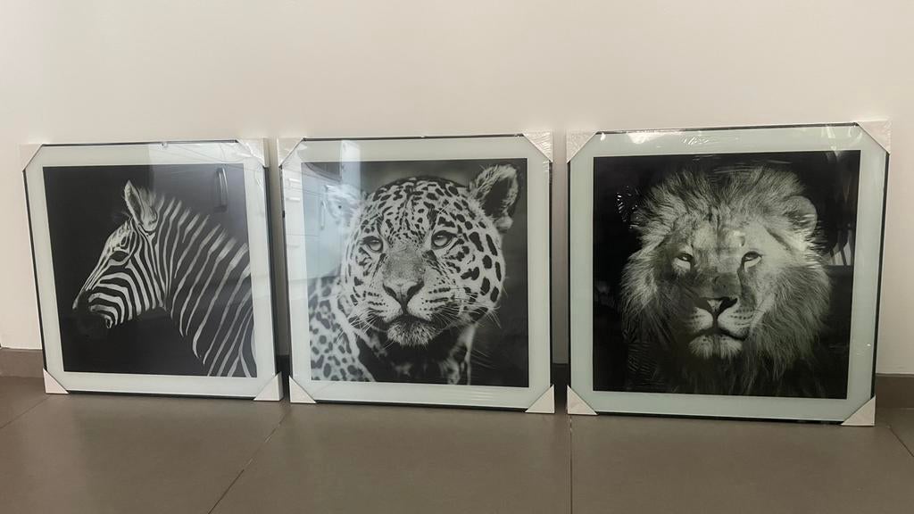 Wanddecoratie zebra luipaard leeuw safari dieren - NIEUW, Ophalen, Nieuw