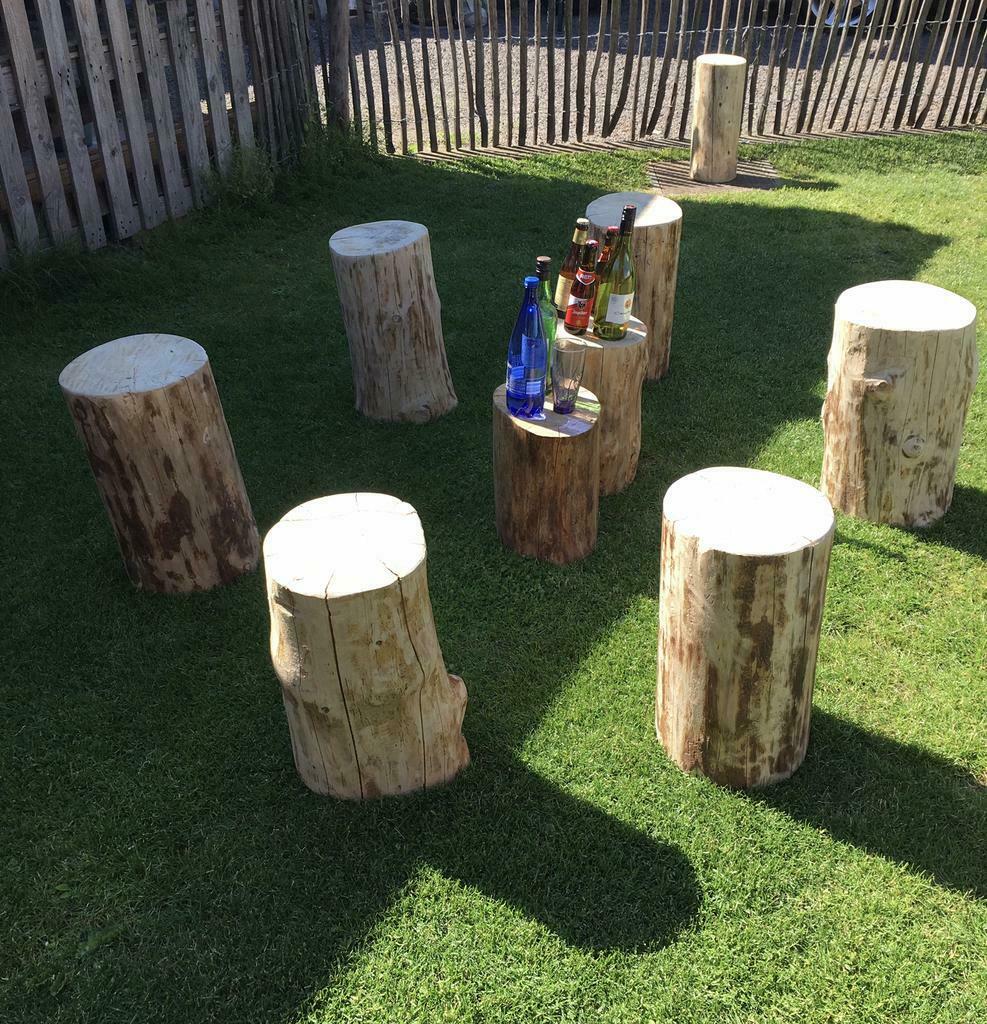 Boomstam, zitstammen, tafelstam. Nagelblok., Tuin en Terras, Ophalen, Nieuw, Hout