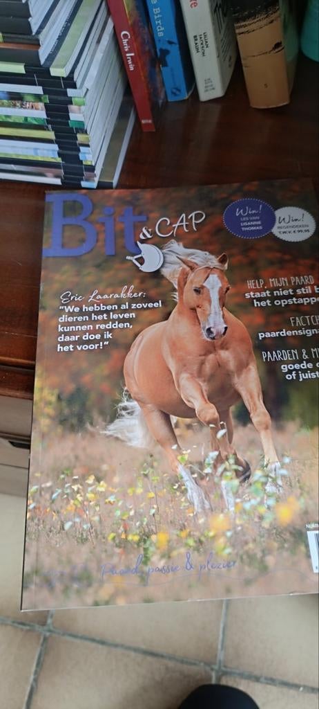 Bit & Cap Nieuw!, Ophalen, Nieuw