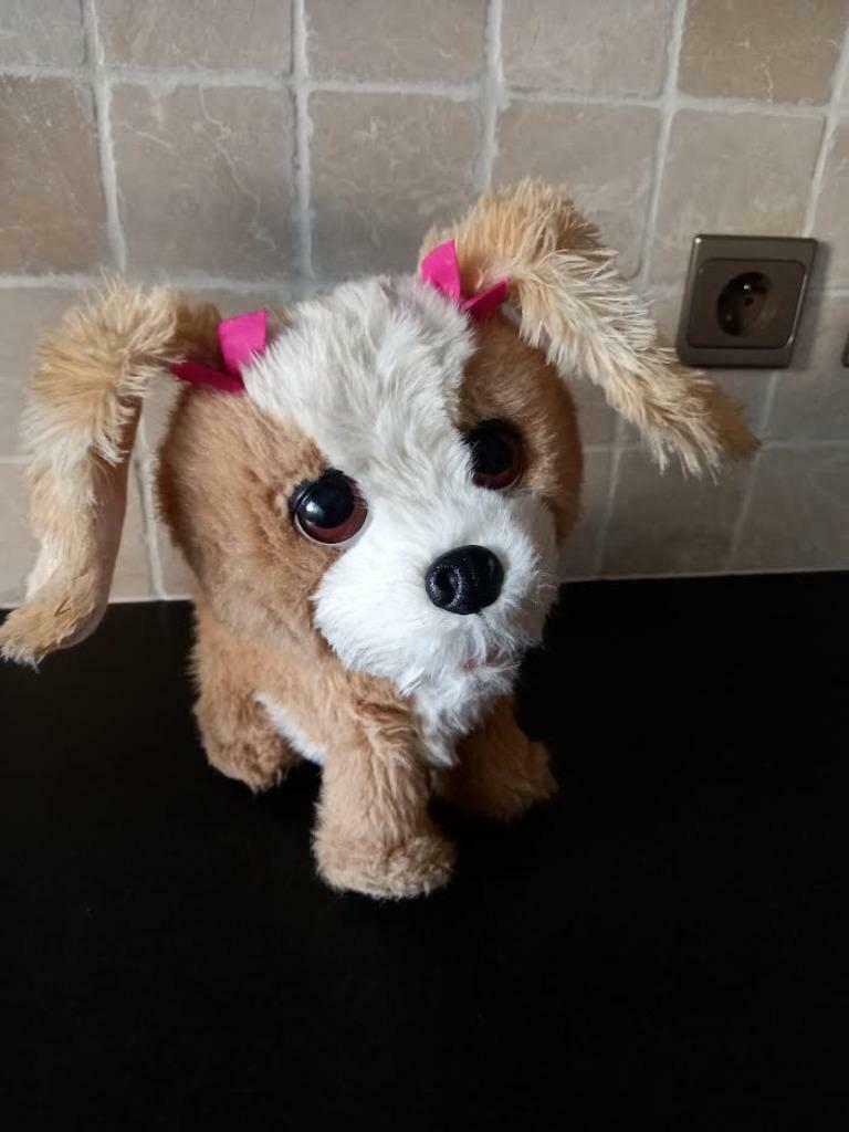 FurReal Friends, Enlèvement ou Envoi, Utilisé