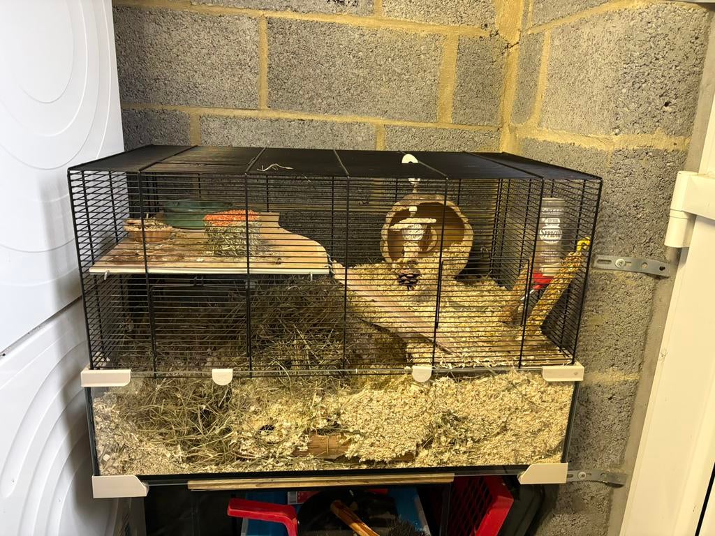 Hamster / gerbil terrarium, Kooi, Gebruikt, Muis, 75 tot 110 cm