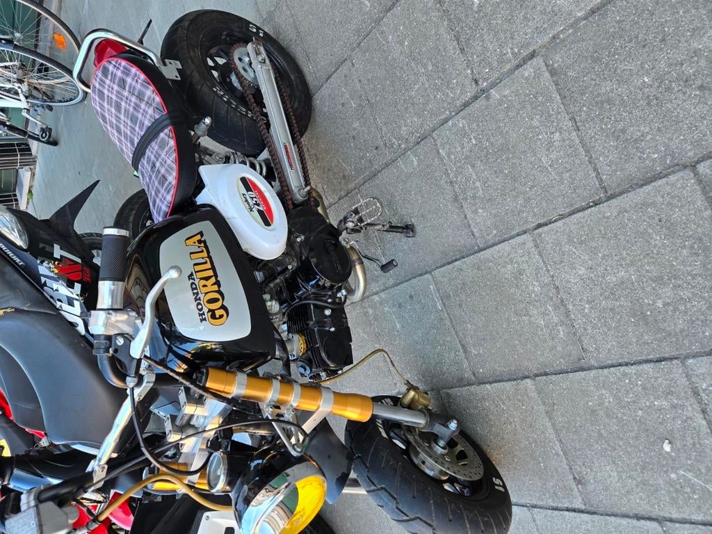 Gorila dax b klas in zeer mooi staat