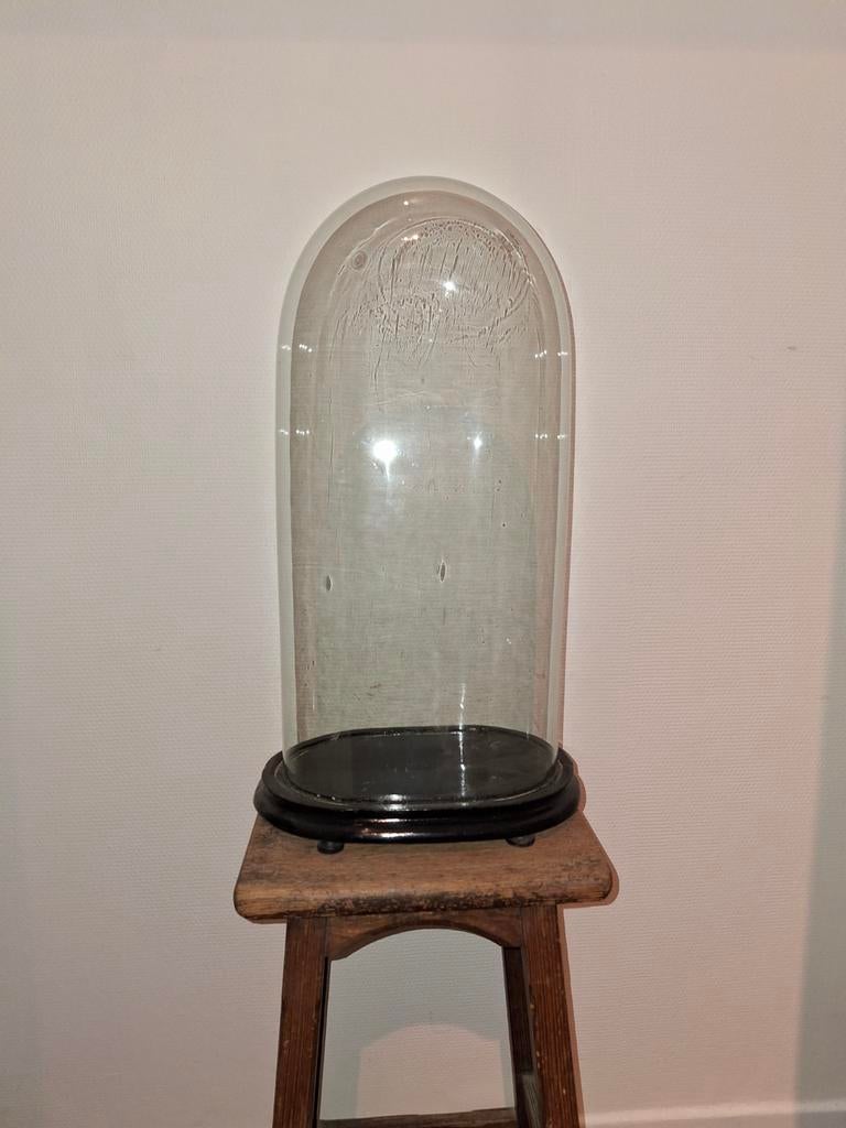 Oude ovalen glazen stolp 50cm hoog 25 cm br 16cm diep, Ophalen
