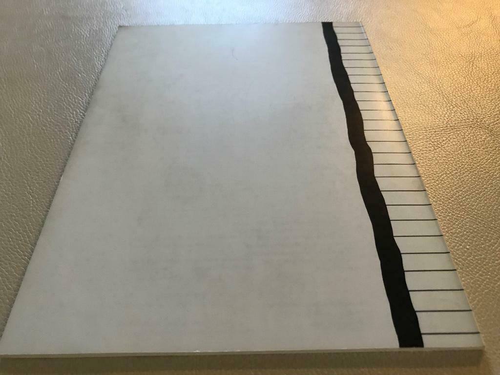 Roger Raveel schilderijen Tekeningen jaren 70, 75pag, Boeken, Ophalen of Verzenden, Zo goed als nieuw, Schilder- en Tekenkunst