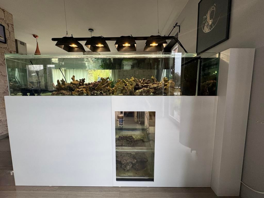 Aquarium Marin shallow 190 X 83 X 40, Enlèvement, Utilisé