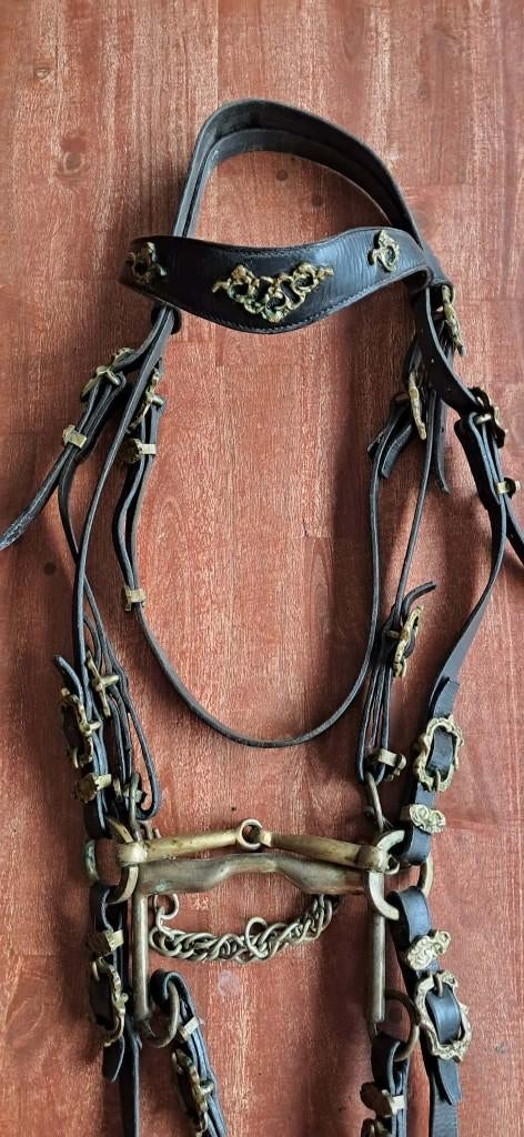 Bride ancienne environ 1880–1910, Enlèvement ou Envoi, Utilisé, Dressage