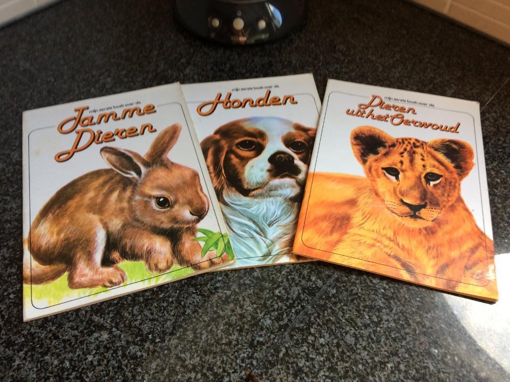Mijn eerste boek over...drie leerzame kinderboekjes, Enlèvement, Utilisé