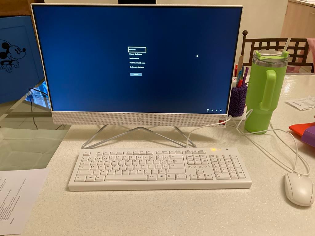 Ordinateur de bureau HP all in one, Ophalen