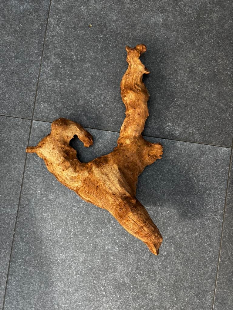 Branche en bois pour aquarium ou terrarium, Ophalen, Zo goed als nieuw