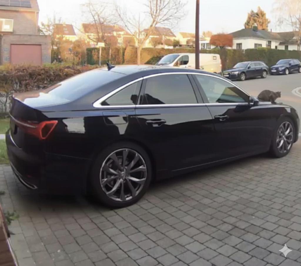 Audi A6 35 Mild Hybrid 2.0 TDI Euro 6 d température, Cuir, Achat, 120 kW, Automatique