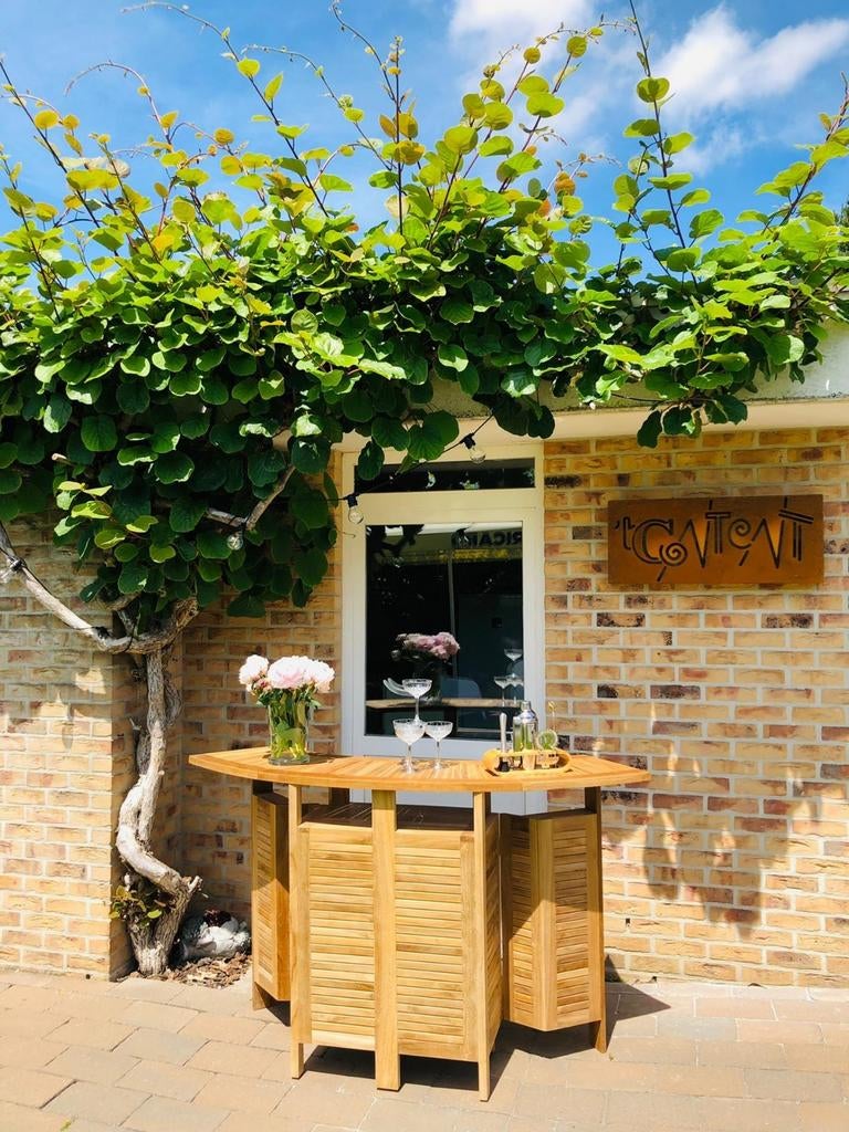 Teak Bar Inklapbaar voor buiten en binnen., Ophalen, Nieuw
