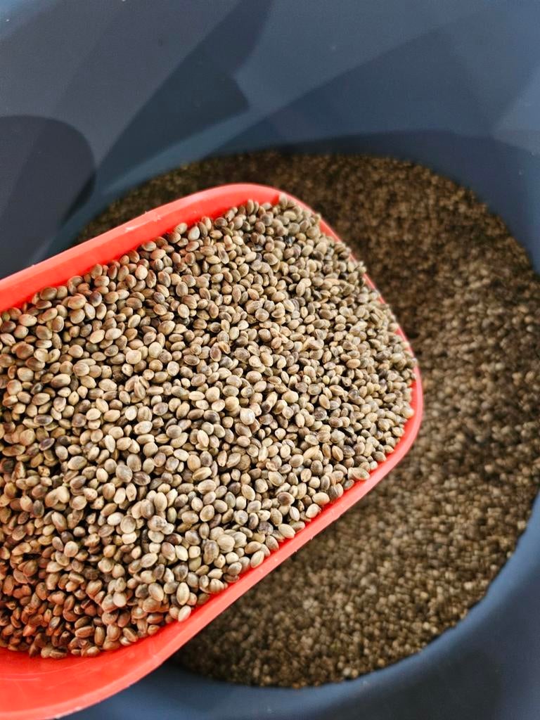 Kempzaad 1kg | Winkel & Webshop | OPEN op zondag, Ophalen