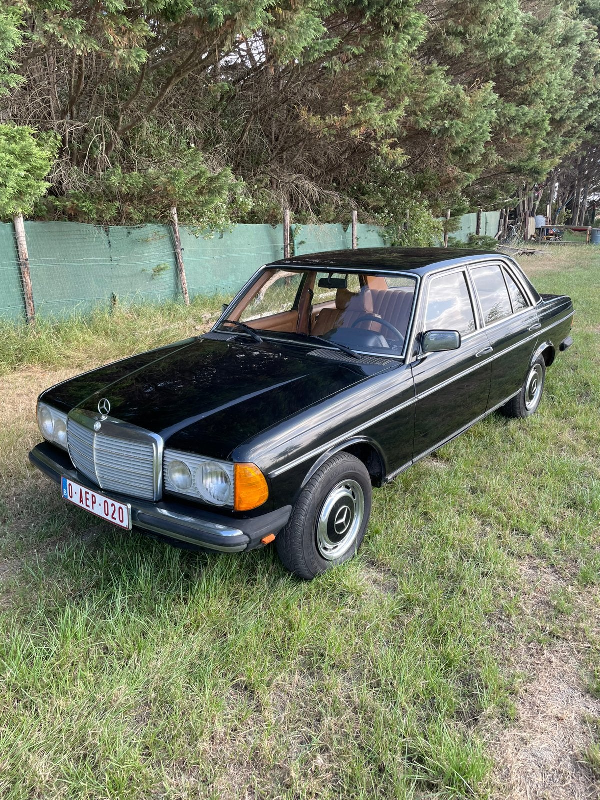 Mercedes benz w123  / 220d, Achterwielaandrijving, Trekhaak, Zwart, Mercedes-Benz