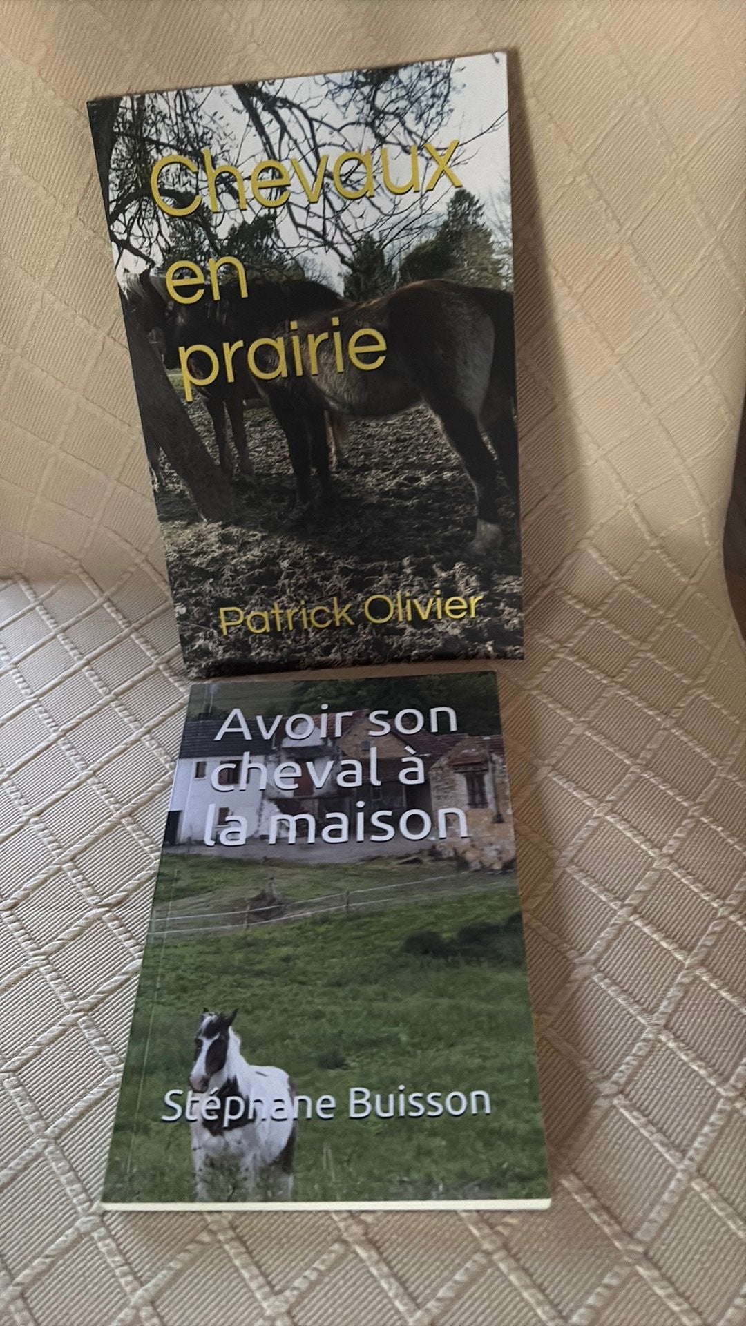 Lot de 2 livres - chevaux, Enlèvement, Comme neuf