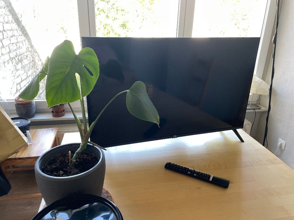 TCL 32S5403AF (2023), Neuf, Autres marques, 50 Hz, Enlèvement