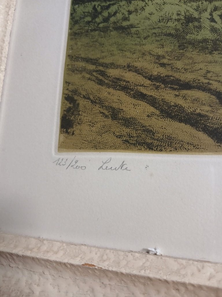 gesigneerde kleurets Emile de Cooman , titel Lente, Ophalen of Verzenden, Ets, Genummerd