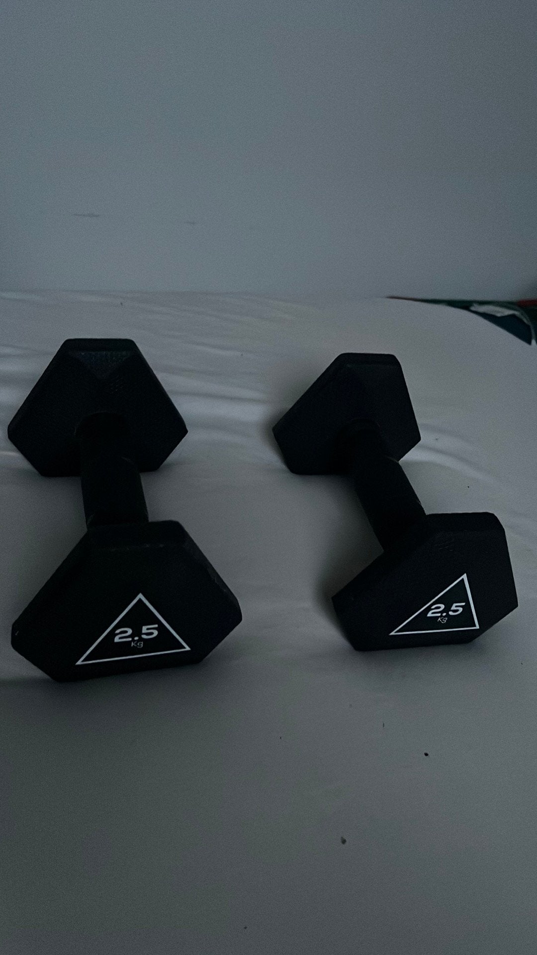 haltères de 2,5 kg, Sports & Fitness, Enlèvement, Neuf
