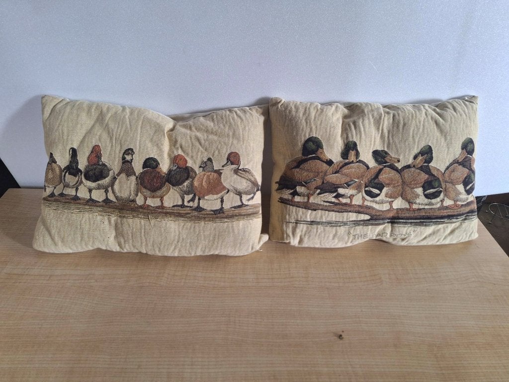 2x kussens eend, Ophalen of Verzenden, Zo goed als nieuw, Sierkussen