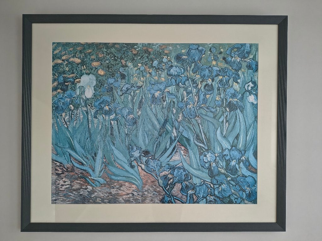 Poster 'Irissen'  van Van Gogh in kader, Ophalen, Gebruikt, 125 cm, Blauw