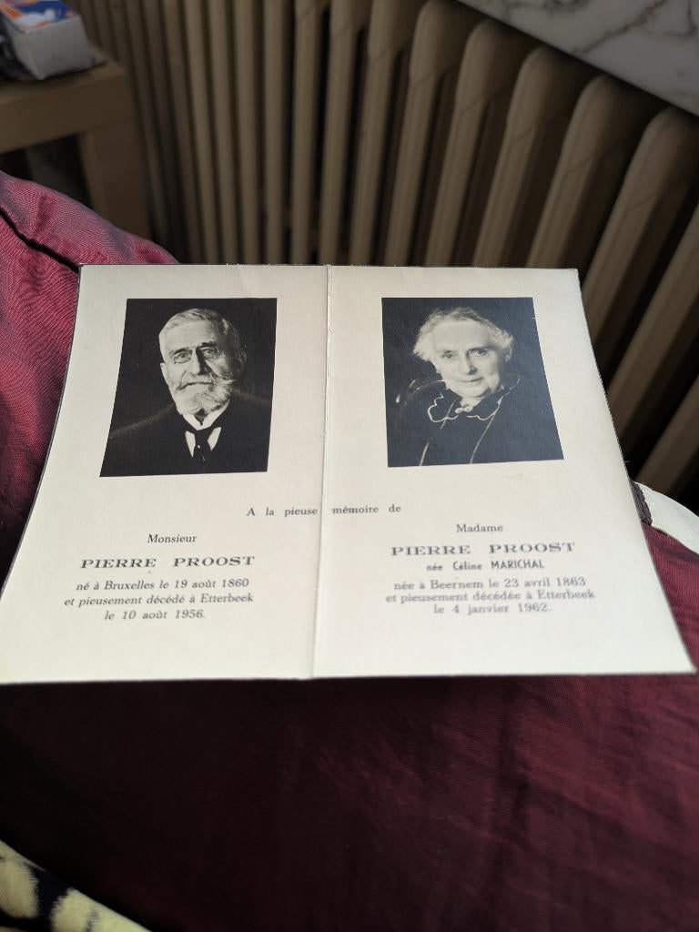 Dp Pierre proost en echtgenote, Verzamelen, Bidprentjes en Rouwkaarten, Ophalen of Verzenden, Bidprentje