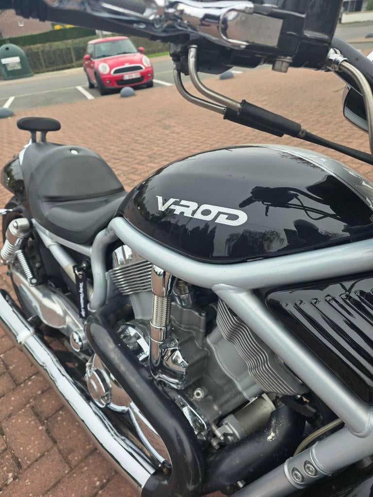 Superbe Harley-davidson v rod, Motos, Particulier, Neuf