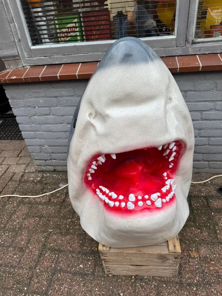 Grote Haaienkop Decoratie - Jaws Stijl