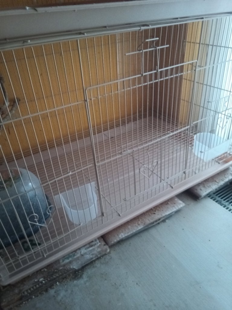 Grande cage à oiseaux en parfait état, Enlèvement, Comme neuf, Accessoires pour cage
