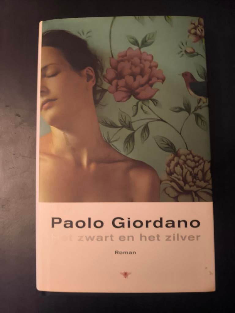 Paolo Giordano - Het zwart en het zilver, Ophalen of Verzenden, Paolo Giordano