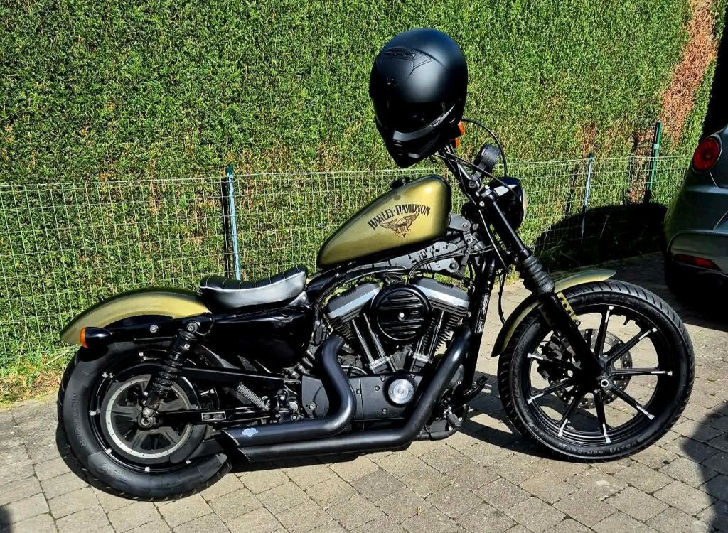 Harley Davidson iron 883, Motos, Motos | Harley-Davidson, Occasion, Plus de 35 kW, Chopper, 2 cylindres