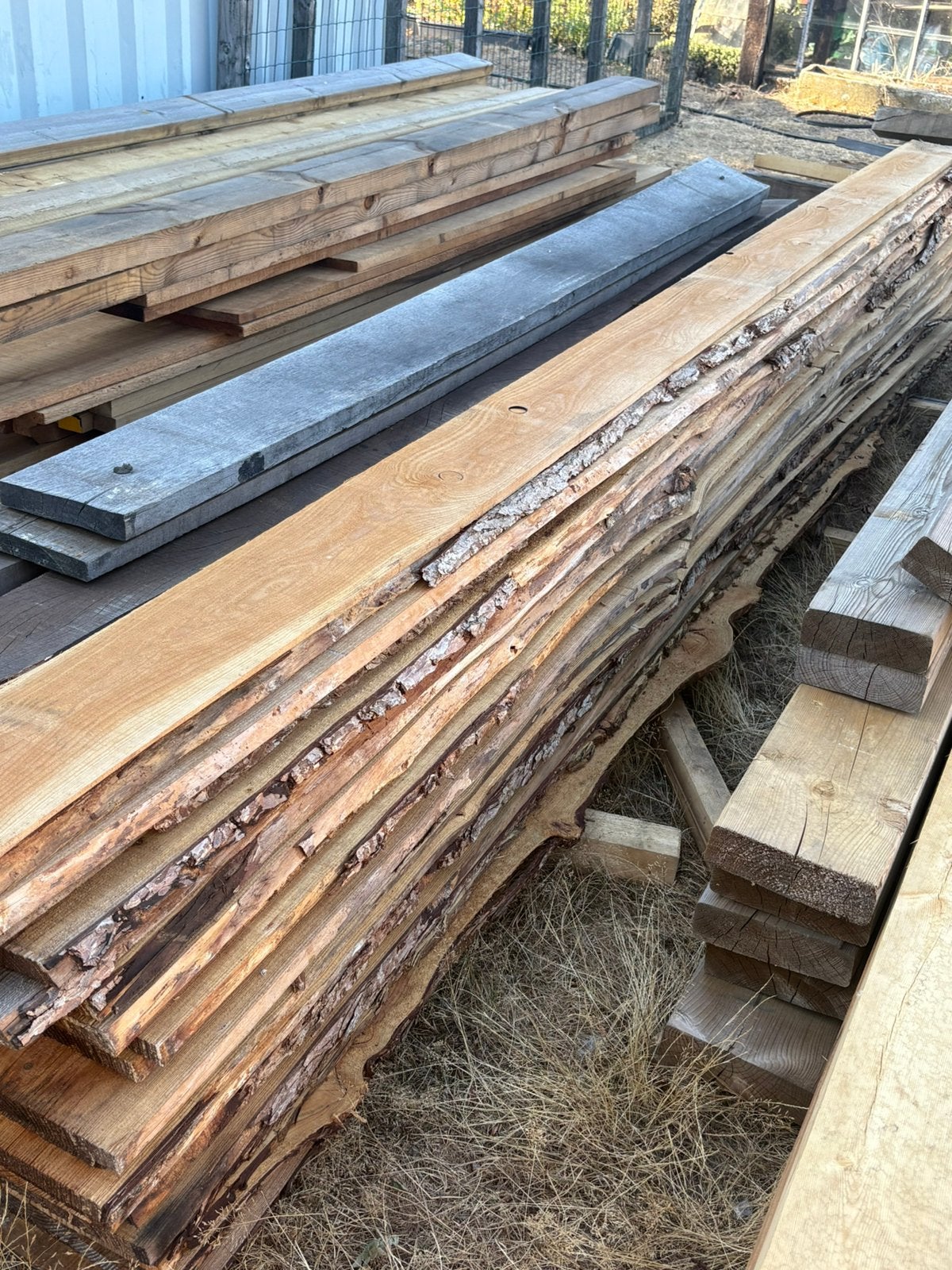 Schaalplanken, Tuin en Terras, Ophalen, Nieuw, 250 cm of meer, Planken