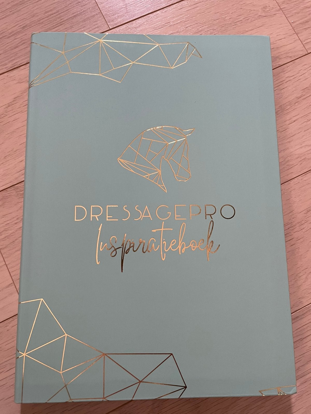 Dressagepro inspiratieboek, Enlèvement ou Envoi, Neuf