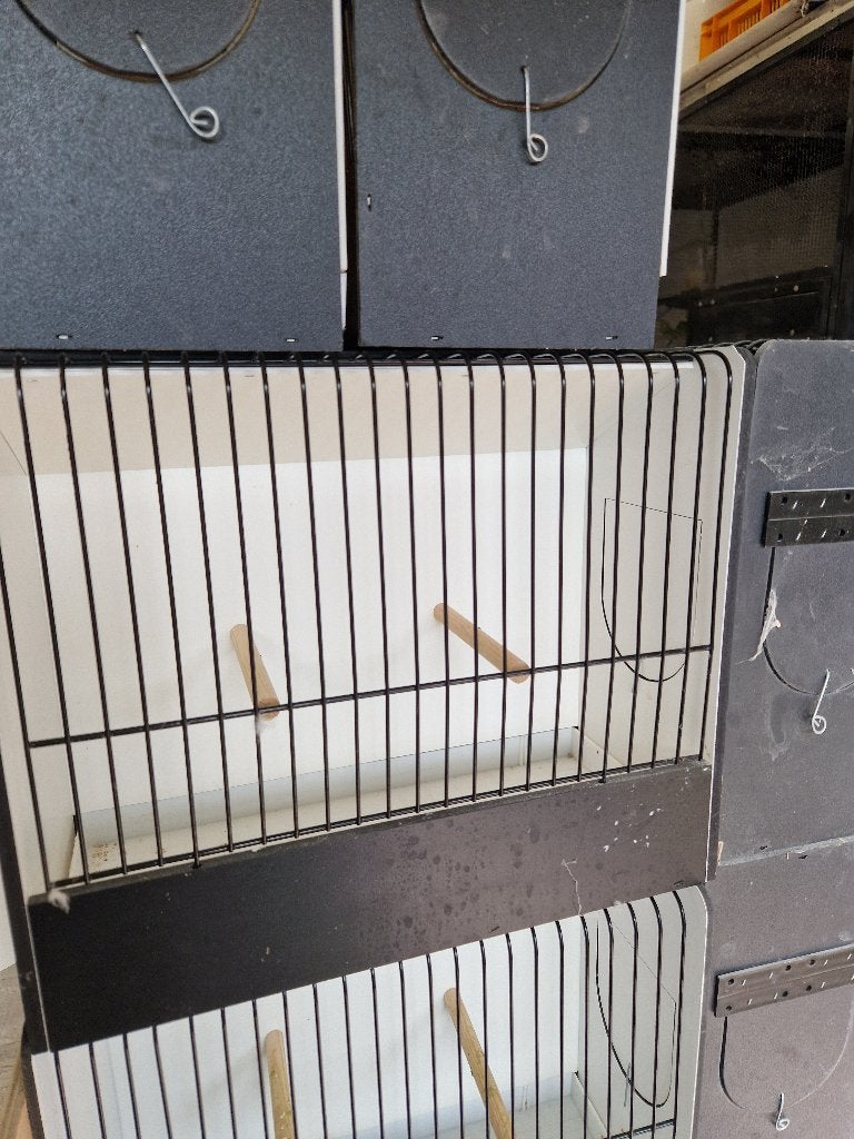 Tt kooien pvc, Ophalen, Zo goed als nieuw, Kunststof, Overige typen